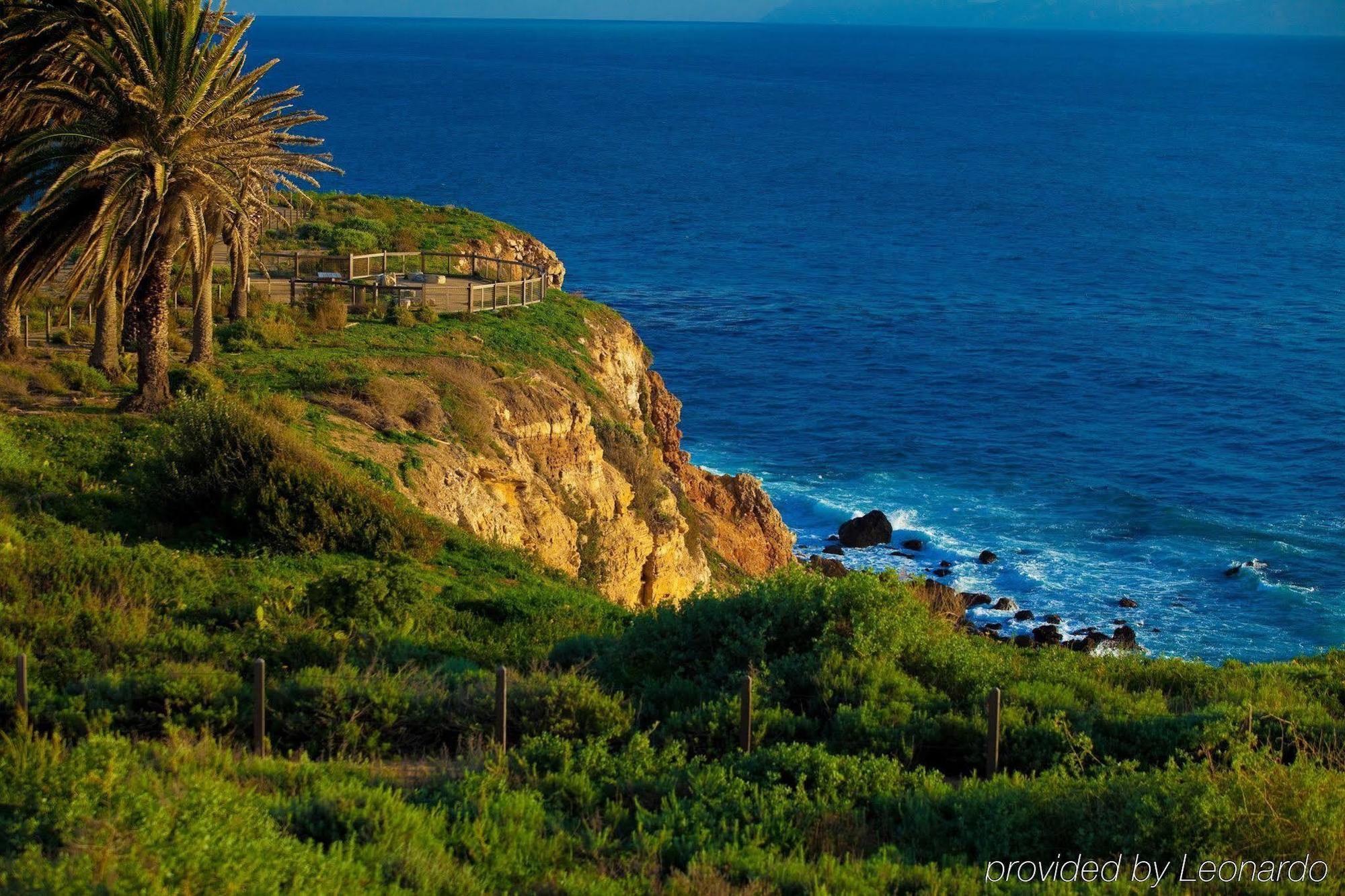 Terranea 5*